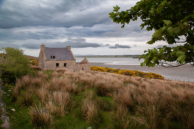 Donegal 2